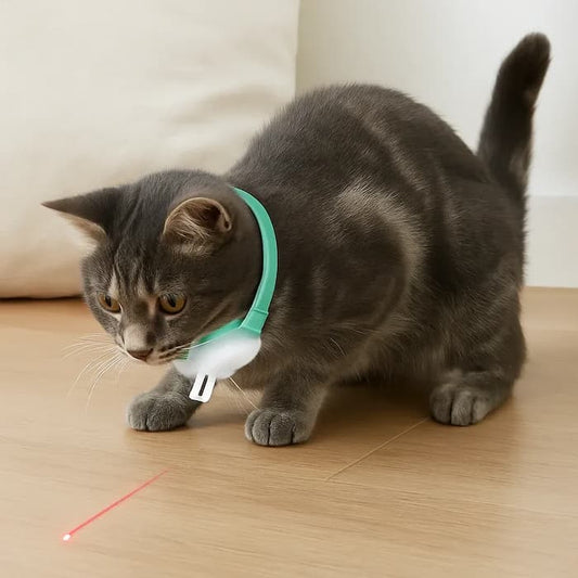 Laser-Spielhalsband Katzen – Automatisch & Aktiv Ohne Aufsicht