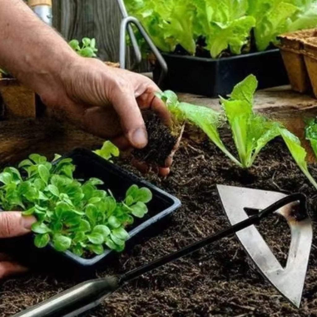 Garten-Unkrautstecher mit Hohlklinge – Mühelos & Sauberes Ergebnis