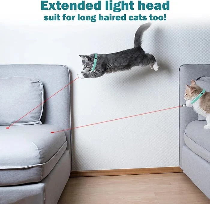 Laser-Spielhalsband Katzen – Automatisch & Aktiv Ohne Aufsicht
