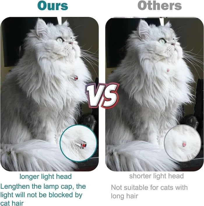 Laser-Spielhalsband Katzen – Automatisch & Aktiv Ohne Aufsicht