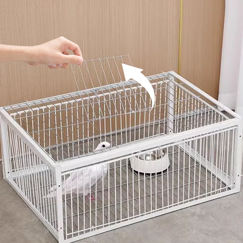Tierschonende Vogelfalle – Rückschlagsicherung Stahl & Mehrfachfang